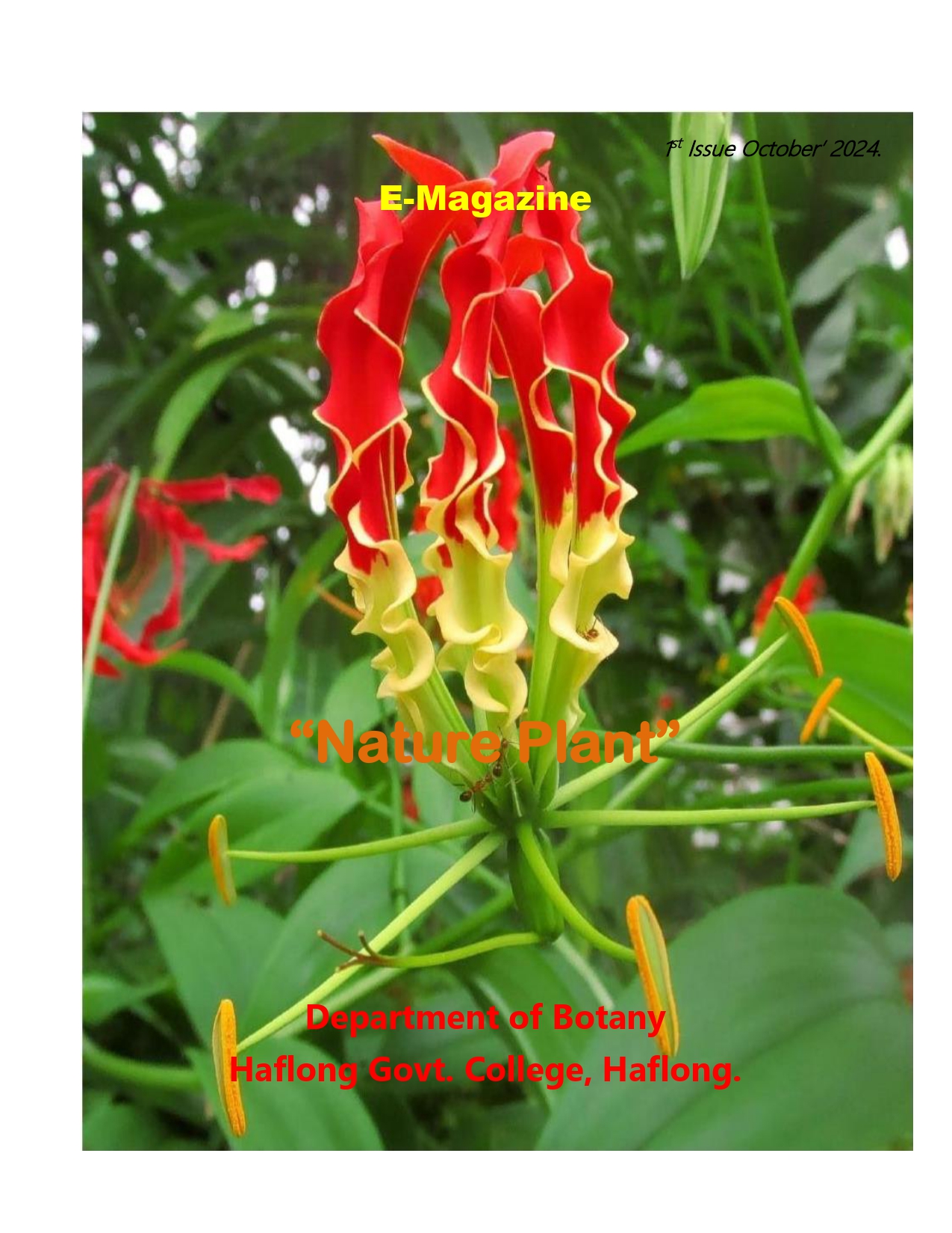 E-Magazine