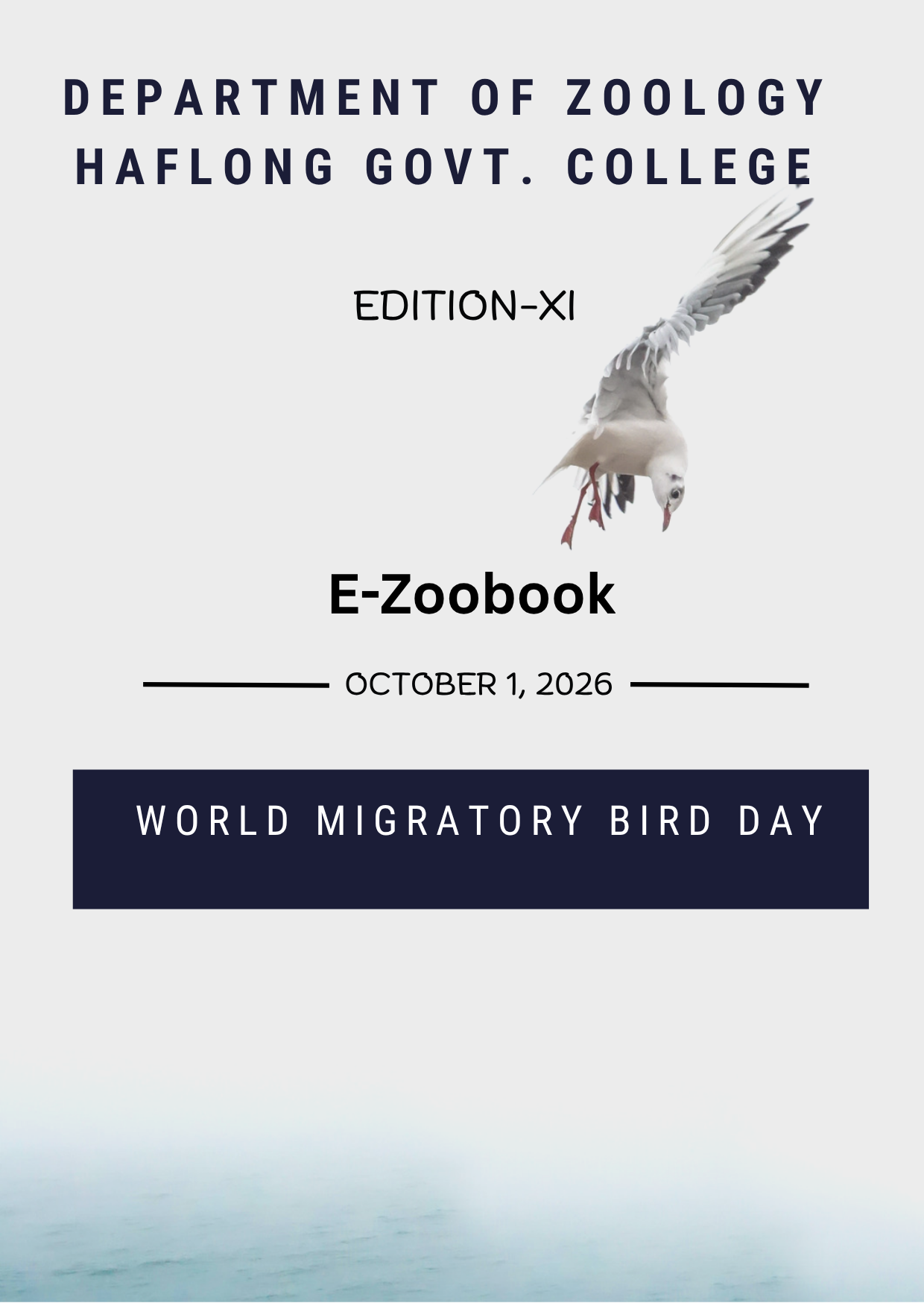 E-Magazine
